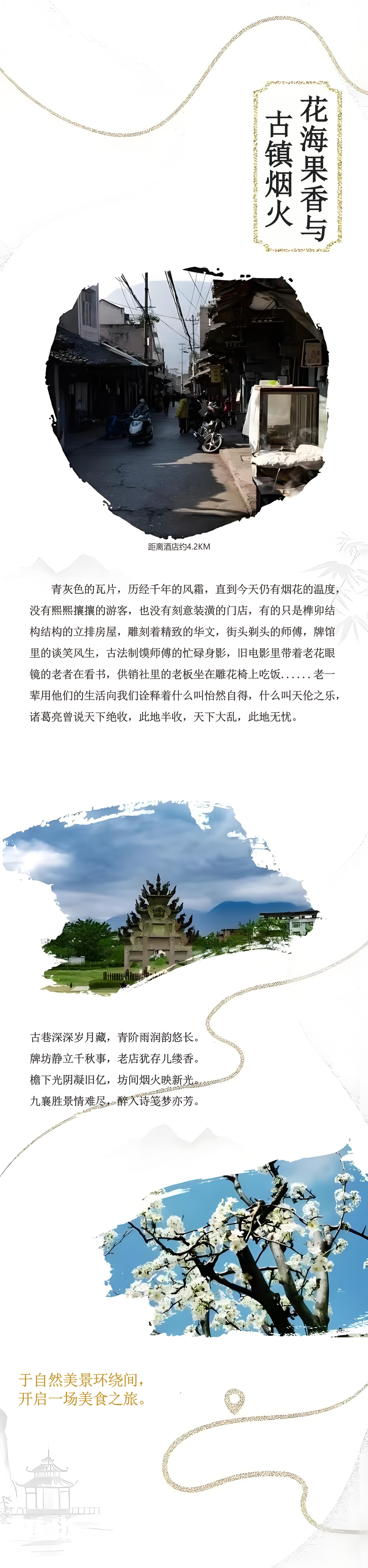 6811d65b60667.png